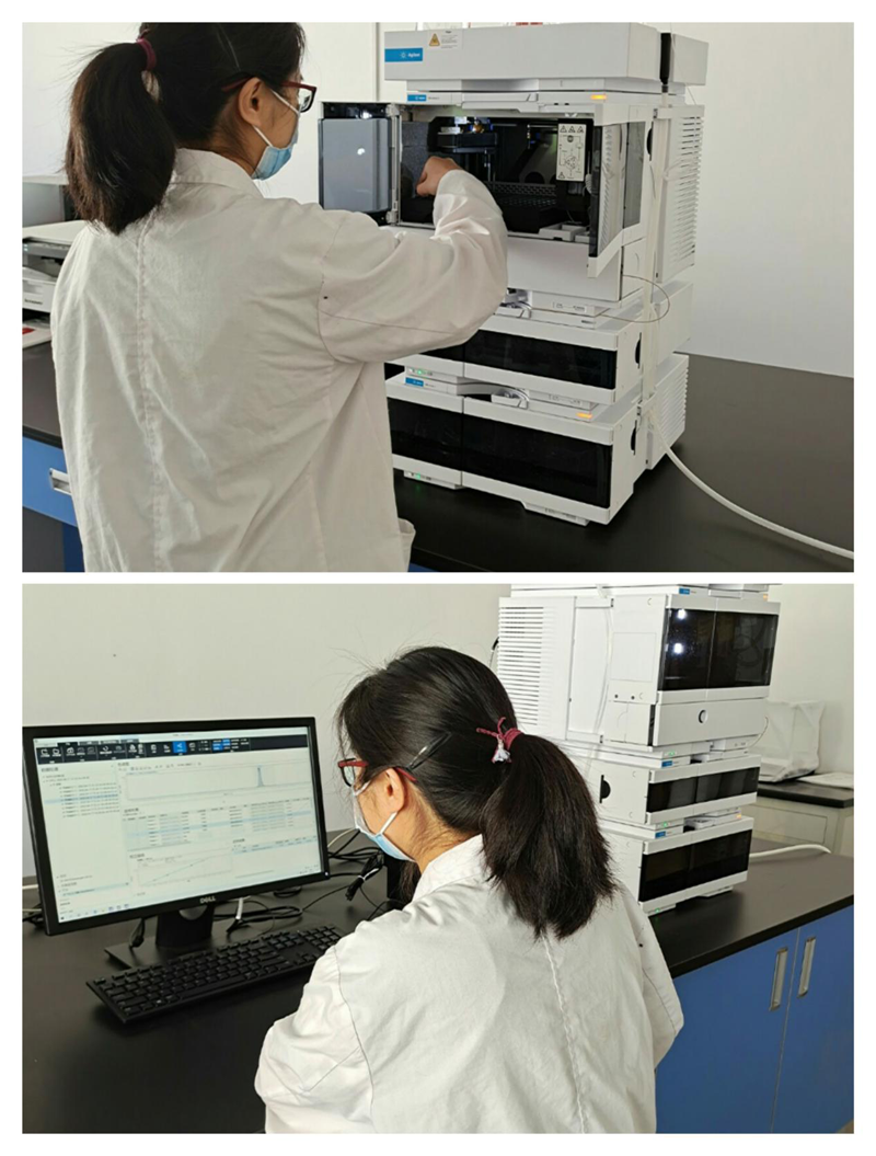 夯实基础、强化技能——药物分析、药物化学教研室实验技能大练兵